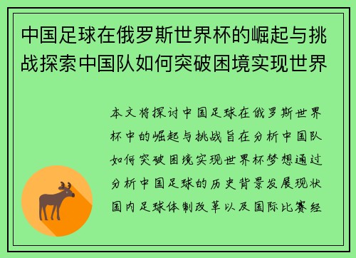 中国足球在俄罗斯世界杯的崛起与挑战探索中国队如何突破困境实现世界杯梦